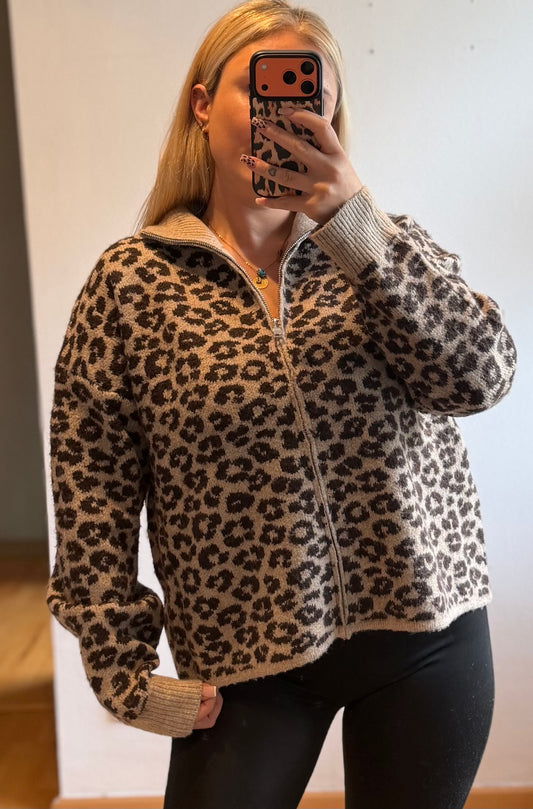 Leo Zipper hell